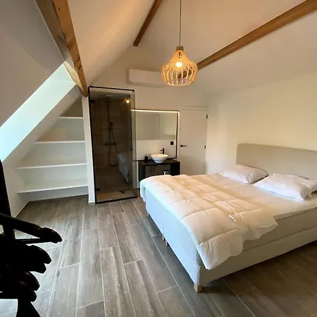 P25 Luxueuze Met 5 Voor 10 Personen, 760m Met Garage En Tuin Koksijde